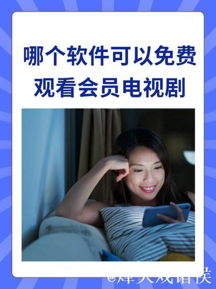 菠萝视频网:畅享高清影视娱乐新体验 菠萝视频网:畅享高清影视娱乐新体验
